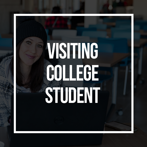 Visiting College Student