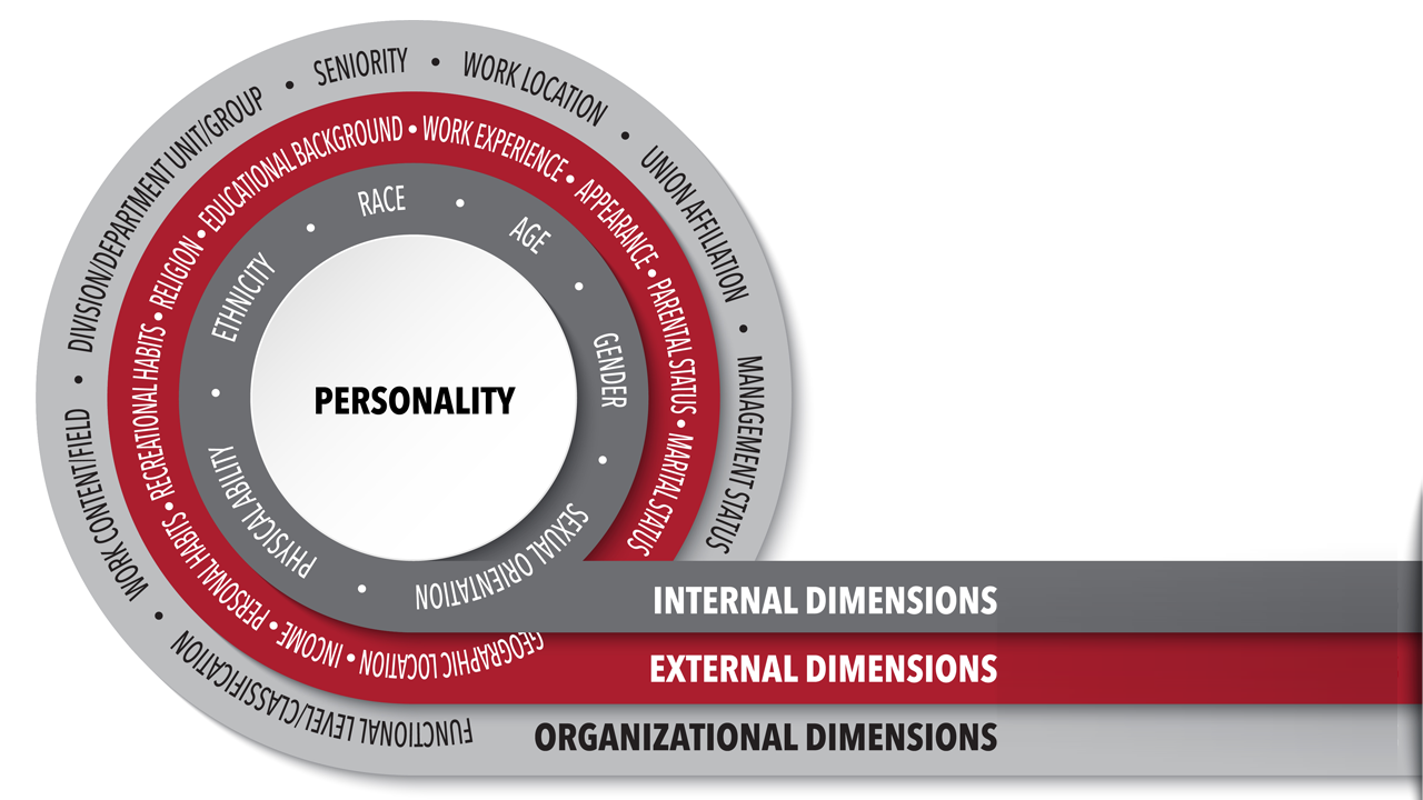 Circles separating personality, internal, external and organizational dimensions as layers that make a person diverse