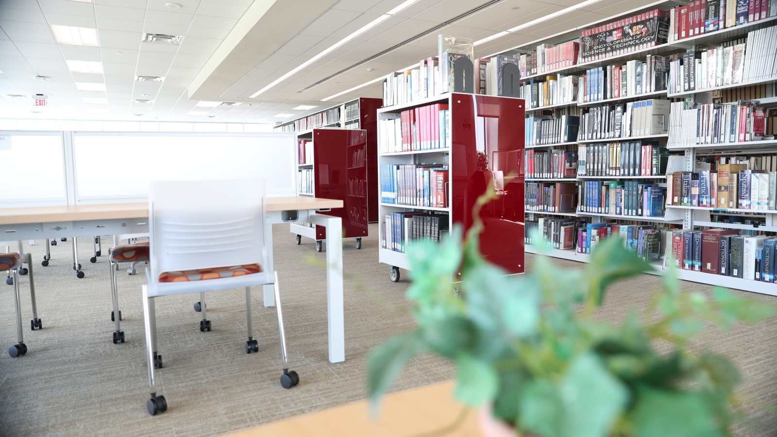 Image of bookshelves in library