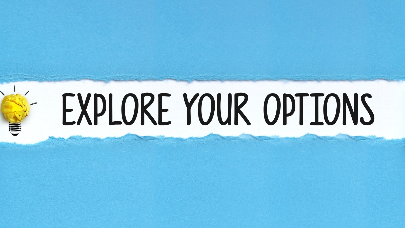 Explore Your Options graphic with a light bulb